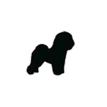 Load image into Gallery viewer, ADULT XL Mint Reflective Hoodie - CUSTOMIZE YOUR BREED