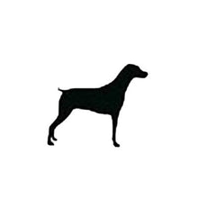 Load image into Gallery viewer, ADULT XL Mint Reflective Hoodie - CUSTOMIZE YOUR BREED