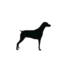 Load image into Gallery viewer, YOUTH MEDIUM Mint Reflective Hoodie - CUSTOMIZE YOUR BREED