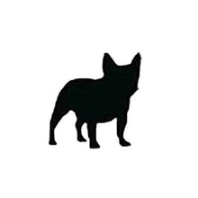 Load image into Gallery viewer, ADULT XL Mint Reflective Hoodie - CUSTOMIZE YOUR BREED