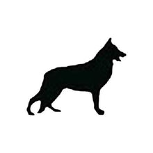 Load image into Gallery viewer, ADULT XL Mint Reflective Hoodie - CUSTOMIZE YOUR BREED