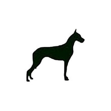 Load image into Gallery viewer, YOUTH MEDIUM Ash Grey Reflective Hoodie - CUSTOMIZE YOUR BREED