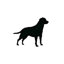 Load image into Gallery viewer, ADULT 3XL Ash Grey Reflective Hoodie - CUSTOMIZE YOUR BREED