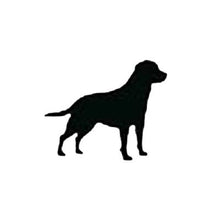 Load image into Gallery viewer, ADULT XL Mint Reflective Hoodie - CUSTOMIZE YOUR BREED