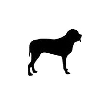 Load image into Gallery viewer, YOUTH MEDIUM Mint Reflective Hoodie - CUSTOMIZE YOUR BREED