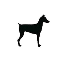 Load image into Gallery viewer, ADULT XL Mint Reflective Hoodie - CUSTOMIZE YOUR BREED