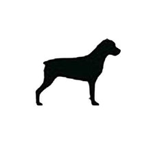 Load image into Gallery viewer, ADULT XL Mint Reflective Hoodie - CUSTOMIZE YOUR BREED