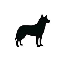 Load image into Gallery viewer, ADULT XL Mint Reflective Hoodie - CUSTOMIZE YOUR BREED