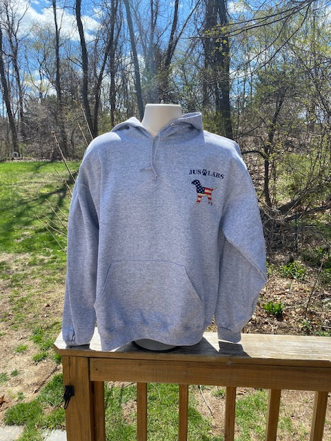 Grey USA Hoodie