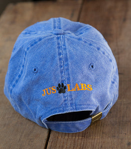 Denim Blue Embroidered Labrador Hats