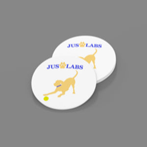 Yellow Lab w/ Blue Collar-Sandstone Car Coasters-Set of 2